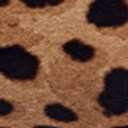 Brown Multi Leopard