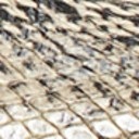 Beach Multi Snake