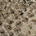 Beach Multi Snake