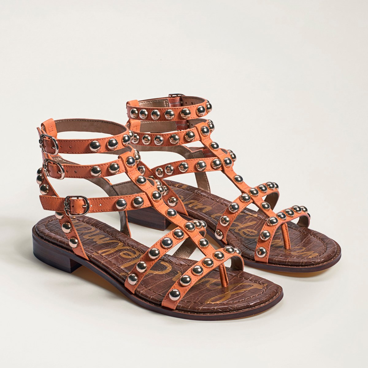 sam edelman glenn