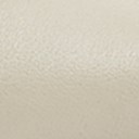 Modern Ivory