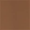 Luxe Tan Leather