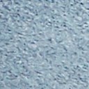 Blue Multi