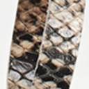 Beach Multi Snake