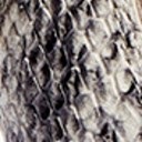 Modern Ivory Snake