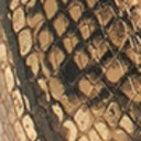 Gold/Natural Snake