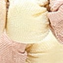 Seashell Pink