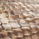 Wheat Multi Snake