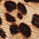 Sand Leopard