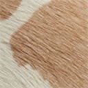 Natural/Ivory Cow Brahma