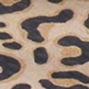 Brown Multi
