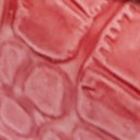 Raspberry Croc
