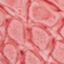Raspberry