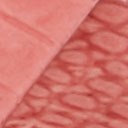 Raspberry Croco