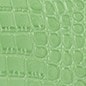 Summer Green