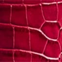 Berry Croc