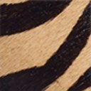 Tan/Black Tiger Brahma