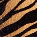 New Tan Tiger Brahma