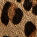 New Tan Leopard