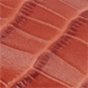 Cinnamon Spice Croc