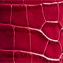 Berry Croc