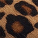 New Nude Leopard Brahma