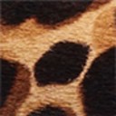 Brown Multi