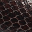 Cocoa Brown Snake