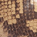 Camel Snake Print