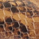 Cuoio Brown Snake