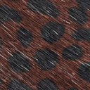 Dark Brown Leopard Brahma