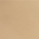 BEIGE/KHAKI
