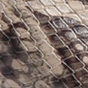 Stone Snake