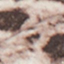 Roccia