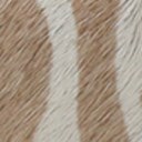 Taupe Zebra